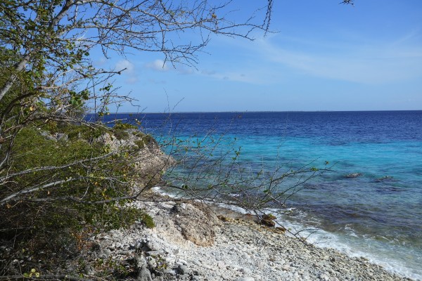 Bonaire Beach Scape by Michael Brown
